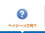 ペイジーって何？